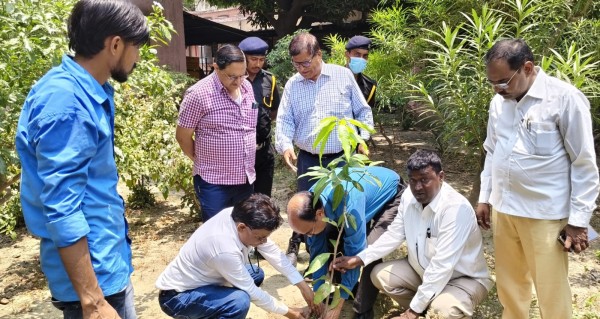 निरोगी जीवन के लिये पौधों का विशेष महत्वःडा. वीके वर्मा