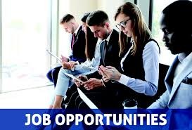 पंचायत सहायक/अकाउंटेंट कम डाटा एंट्री ऑपरेटर पद के लिए कर सकते हैं आवेदन l