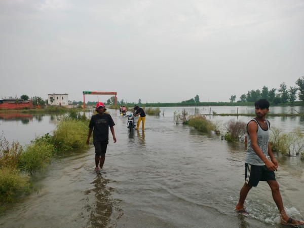 दो जिलों का खादर क्षेत्र के दो दर्जन गांव का जंगल गंगा की बाढ़ में डूबा