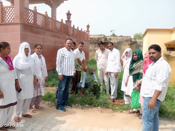 बहादुरगढ़ के गांव लुहारी में "एक पेड़ माँ के नाम" के तहत वृक्षारोपण*