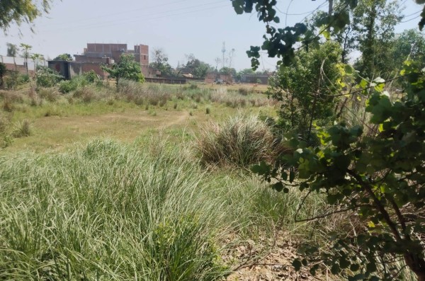 सदर तहसील ‘वालों’ ने ‘बेच’ दी ‘चारागाह’ के ‘करोड़ों’ की ‘जमीन’