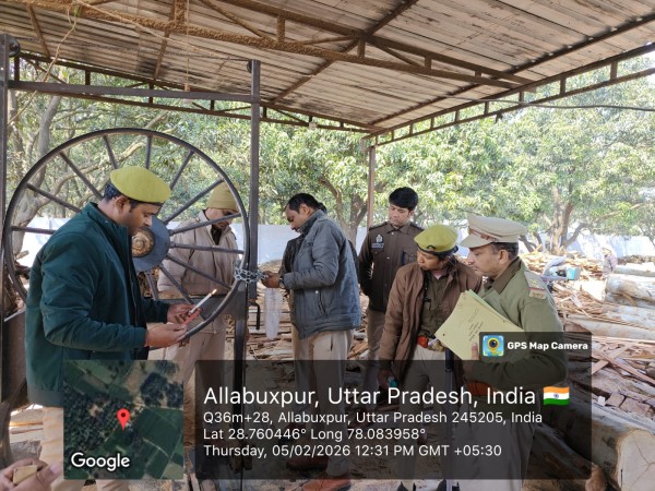 रात के अंधेरे में सरकारी पेड़ों की चोरी, सफेदा के 9 पेड़ों का अवैध कटान