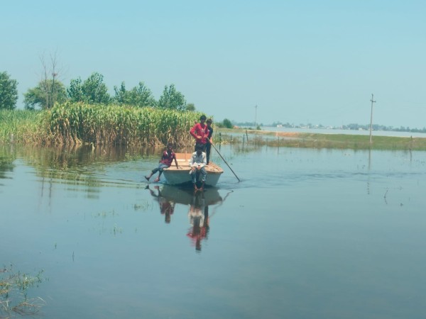 गढ़मुक्तेश्वर खादर क्षेत्र: बाढ़ में डूबी मंडिया से चोरी, रात में उठा ले गए चोर "ढोंगी