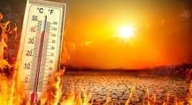 हीटवेव’ से आदमी तो आदमी पशु-पक्षियों भी प्रभावित हो रहा