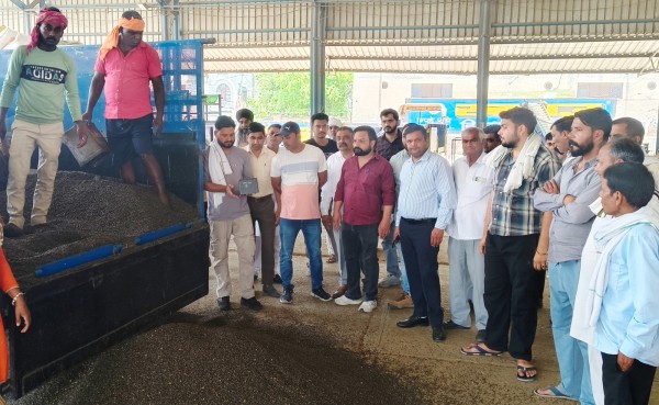 लाडवा अनाजमंडी में सूरजमुखी की फसल की सरकारी खरीद शुरू